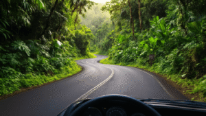 "Driver's perspective of a winding narrow road with 620 hairpin curves through a lush Hawaiian rainforest, with mile marker "360", and sunlight filtering through dense foliage."
