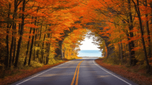 "Empty forest road M-119 Tunnel of Trees in Michigan during autumn, enveloped by a dense canopy of colorful sugar maple, beech and white ash trees, beneath a misty golden hour sky with a portion of Lake Michigan visible"